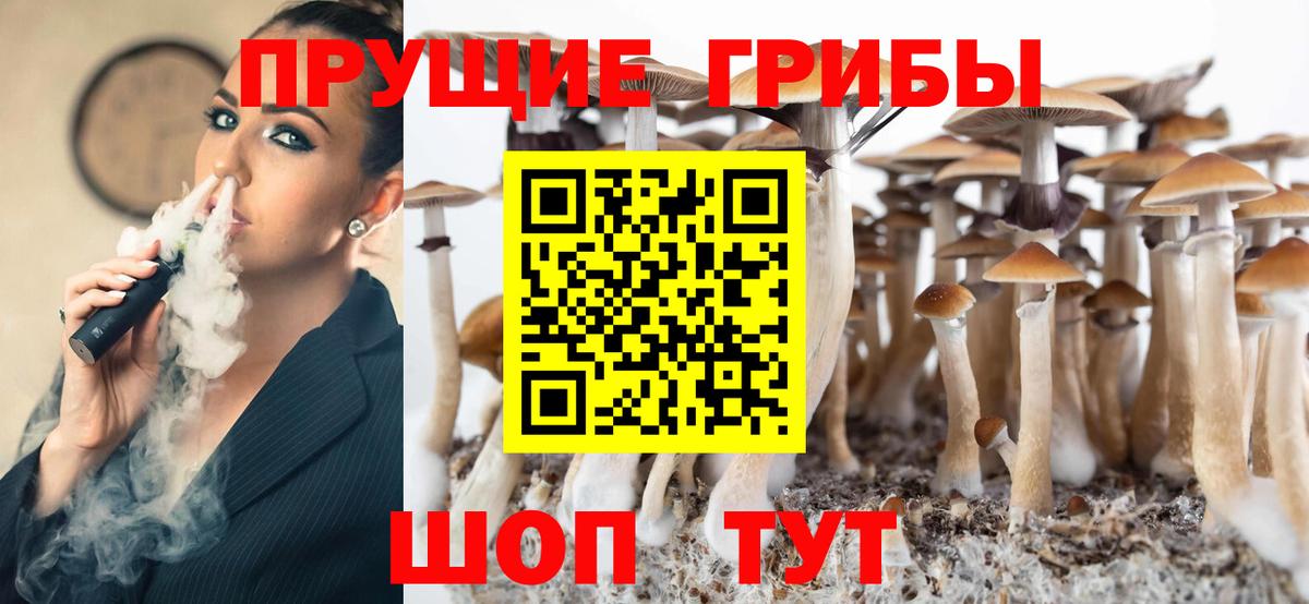 Псилоцибиновые грибы MAGIC MUSHROOMS Родники