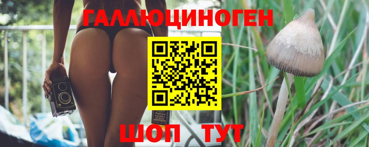Родники  Псилоцибиновые грибы ЛСД  Вход с VPN 